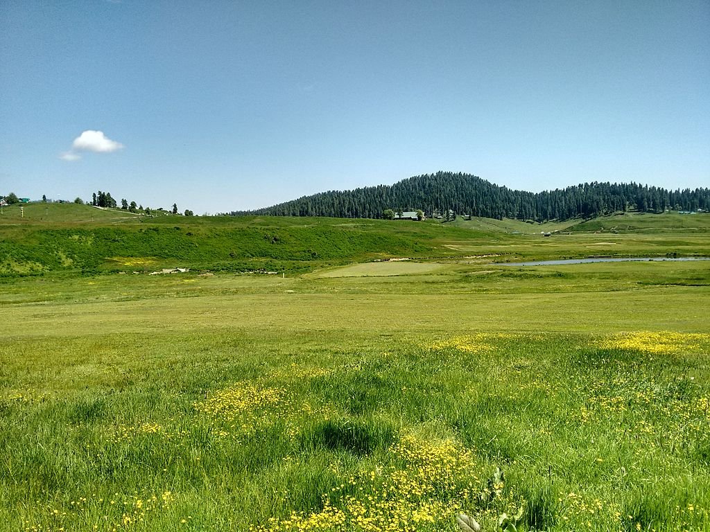 Gulmarg_Wildlife_Sanctuary