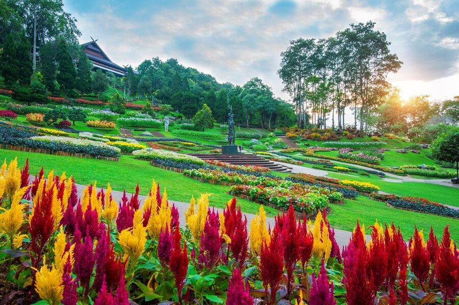 garden-flowers-mae-fah-luang-garden-locate-doi-tung-chiang-rai-thailand_335224-967