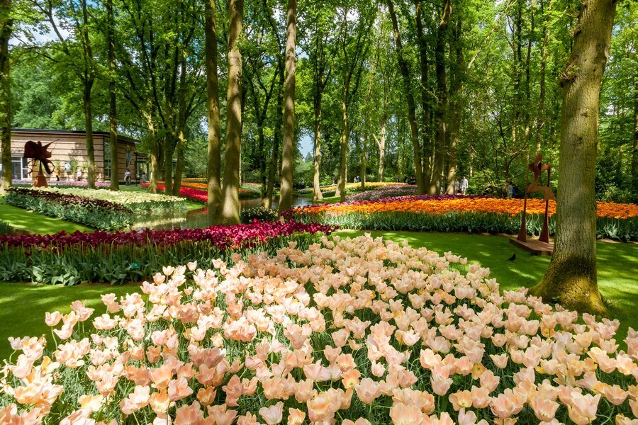 tulip-field-keukenhof-gardens-lisse-netherlands_155003-12622